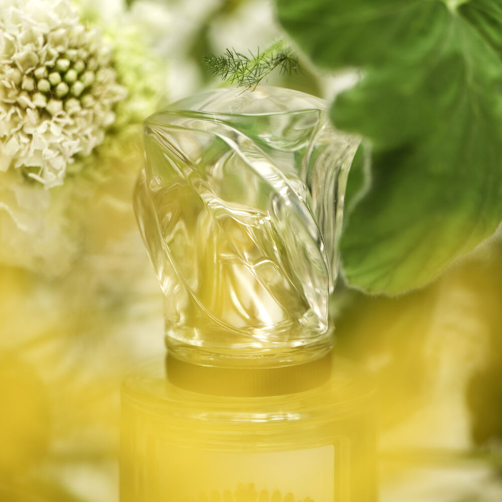 Sisley L'Eau Rêvée D'Hubert Fragancia Masculina 100 ML