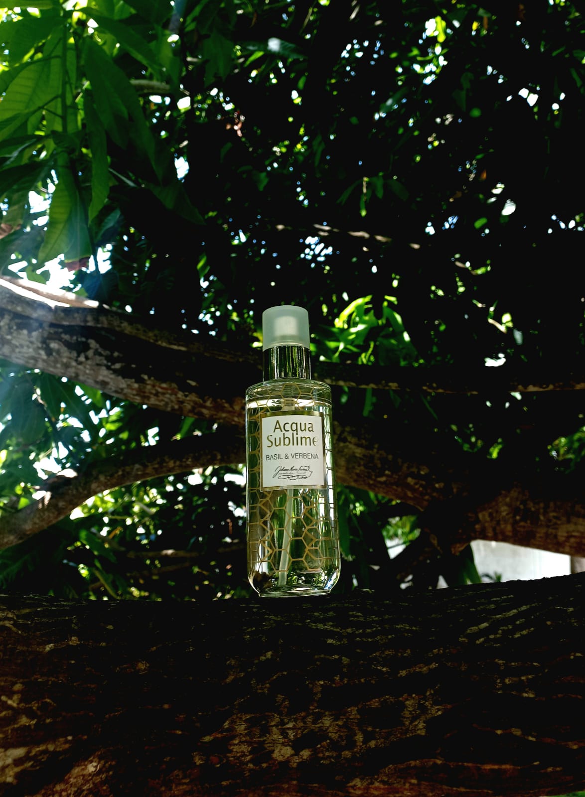 Johann Maria Farina Acqua Sublime Basil & Verbena 200 ML